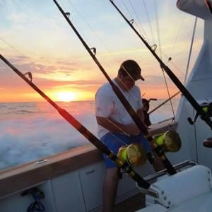 Meet your Posher, Bailey